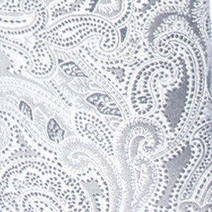 Designer Paisley Silver Tie alternated image 2