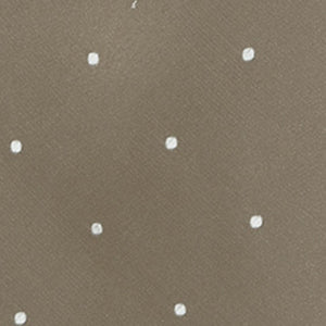 Satin Dot Champagne Tie alternated image 2