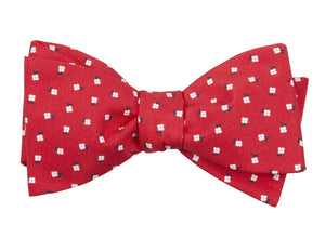 Wonder Floral Apple Red Bow Tie featured image