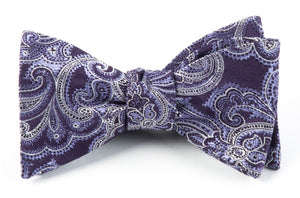 Designer Paisley Eggplant Bow Tie featured image