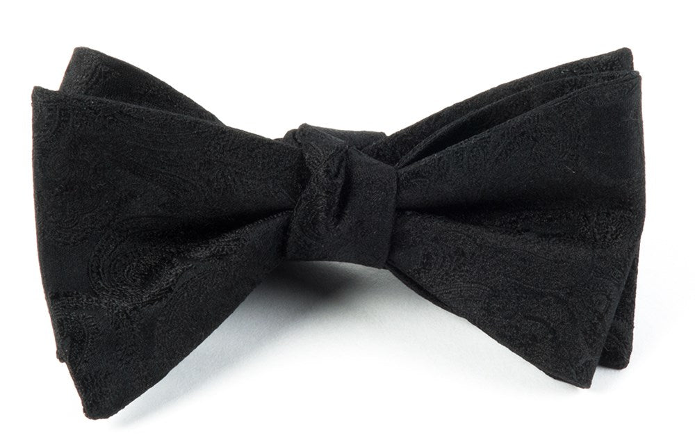 Designer Ties & Bow Ties for Men