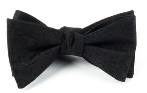 Designer Paisley Black Bow Tie featured image