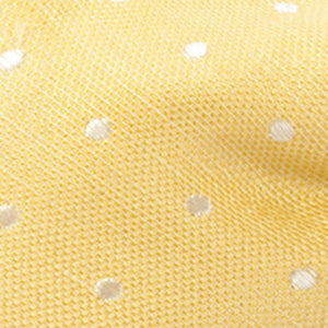 Dotted Dots Butter Bow Tie