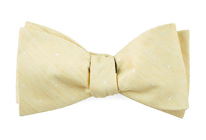 Bulletin Dot Butter Bow Tie