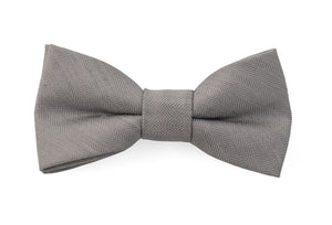 Bhldn Linen Row Silver Bow Tie featured image