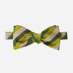 Belmont Stripe Champagne Bow Tie featured image