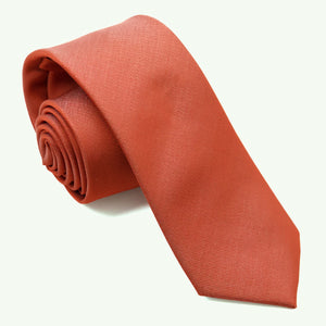 Orange Tie Light Burnt Orange Ties for Men Solid Paisley Neckties and  Pocket Squares Set for Weddings 