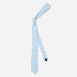 Bracken Blossom Sky Blue Tie alternated image 1