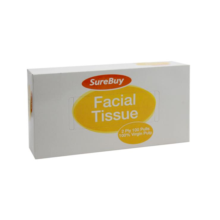 Buy SUREBUY Facial Tissue Box 2-Ply 100 Pulls Online | Shopwise by GoCart