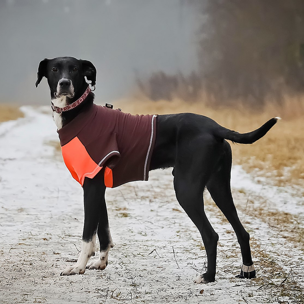 dog chest protector