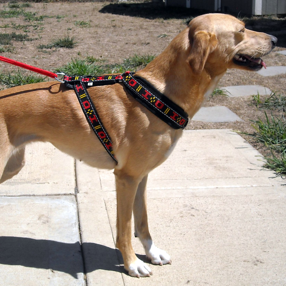 x back dog harness