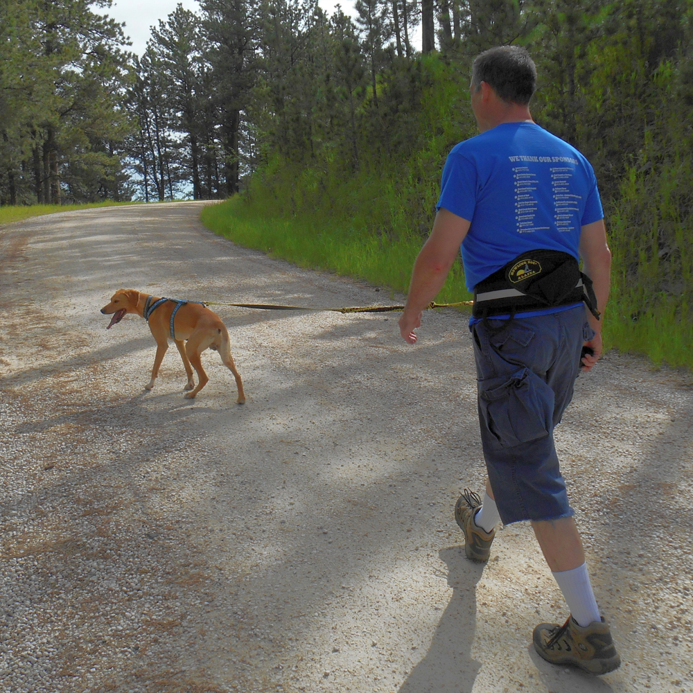 Trekking Belt – Howling Dog Alaska