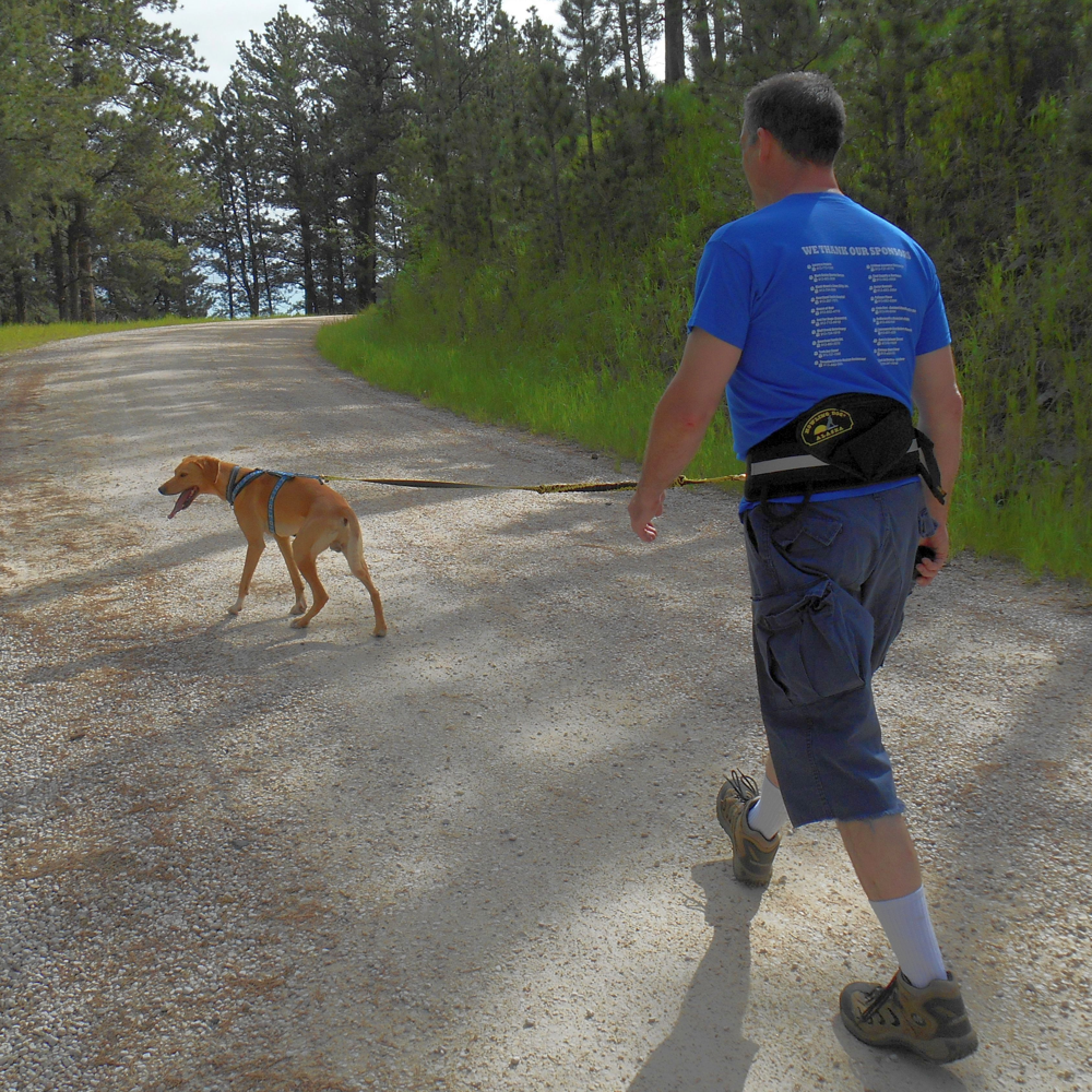 dog trekking belt