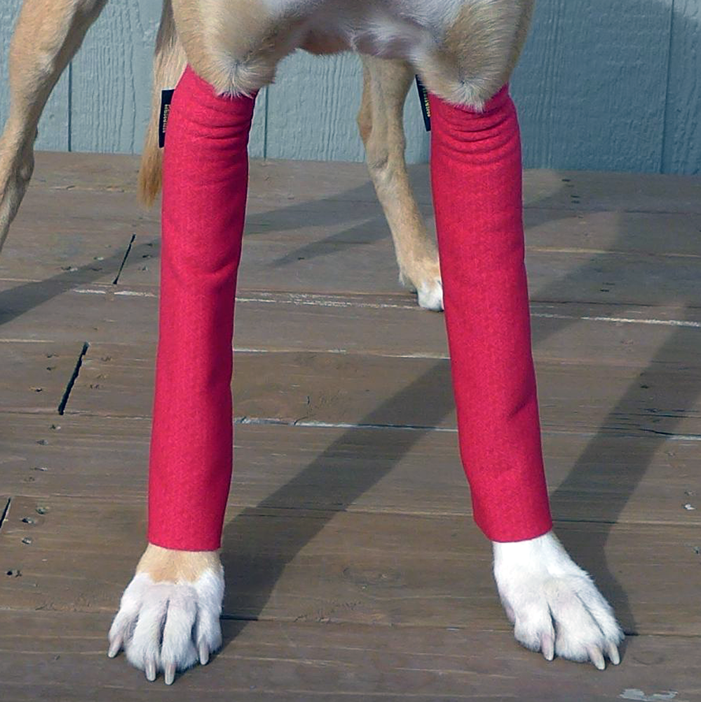 dog leggings for back legs