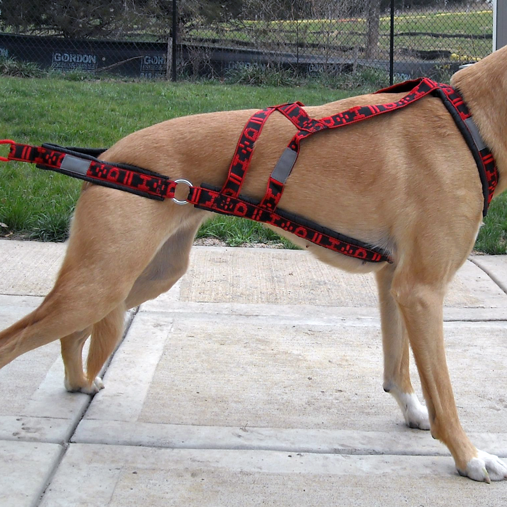 pressure harness for dogs