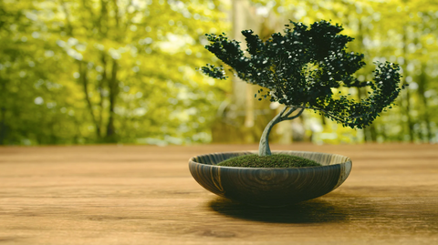 bonsai japan
