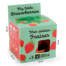 Lade das Bild in den Galerie-Viewer, Strawberry grow kit
