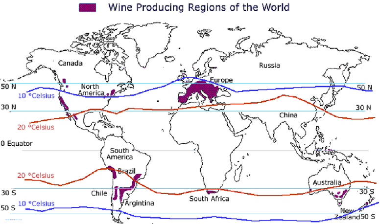 England’s Position and Potential in the World of Wine 