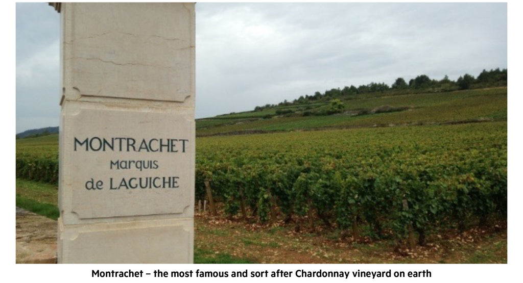 Montrachet Vineyard