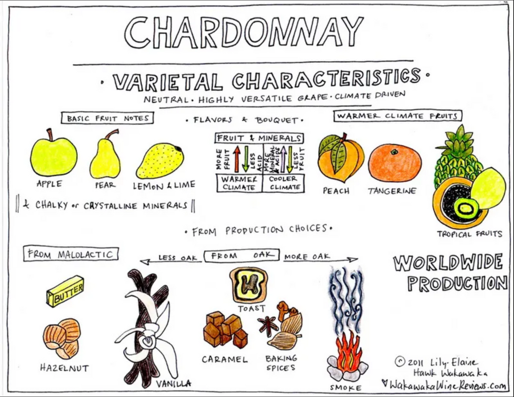 Chardonnay characteristics