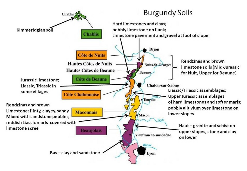 Burgundy Wine Region Map