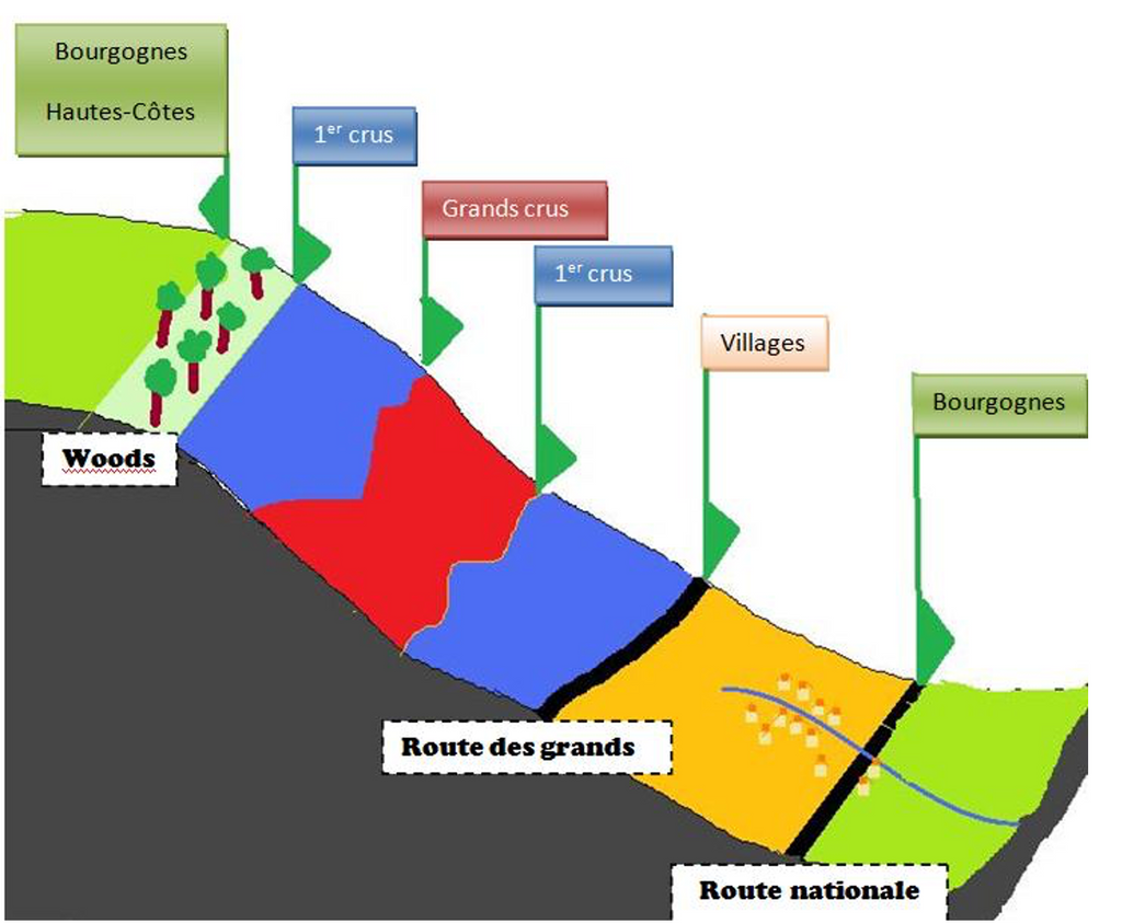 Burgundy's quality hierarchy in 4 main tiers