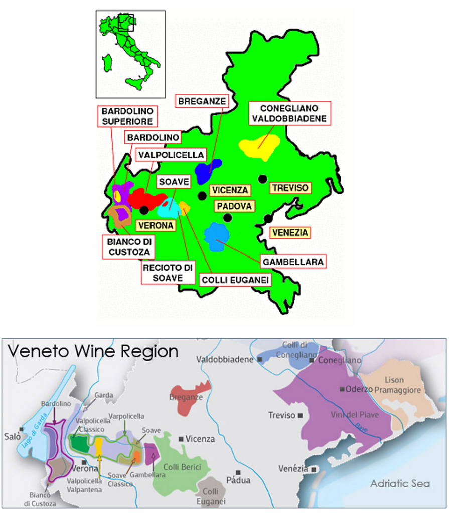 Veneto Wine Map