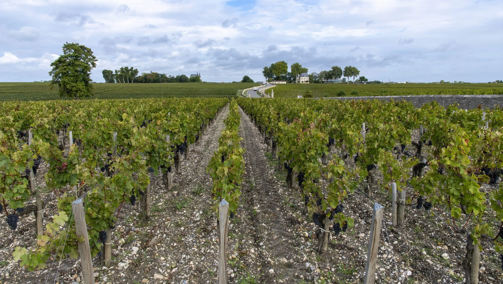 Poor Bordeaux Soils