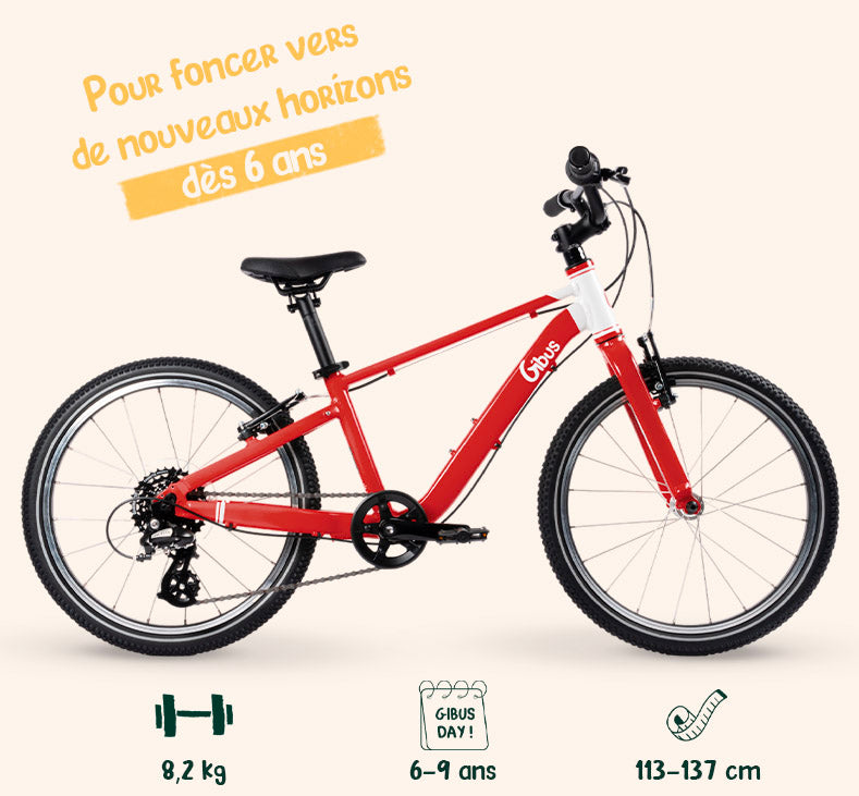 produit-velo-20-pouces-homepage.jpg__PID:efa08edc-693d-4650-8de1-e20a85144359