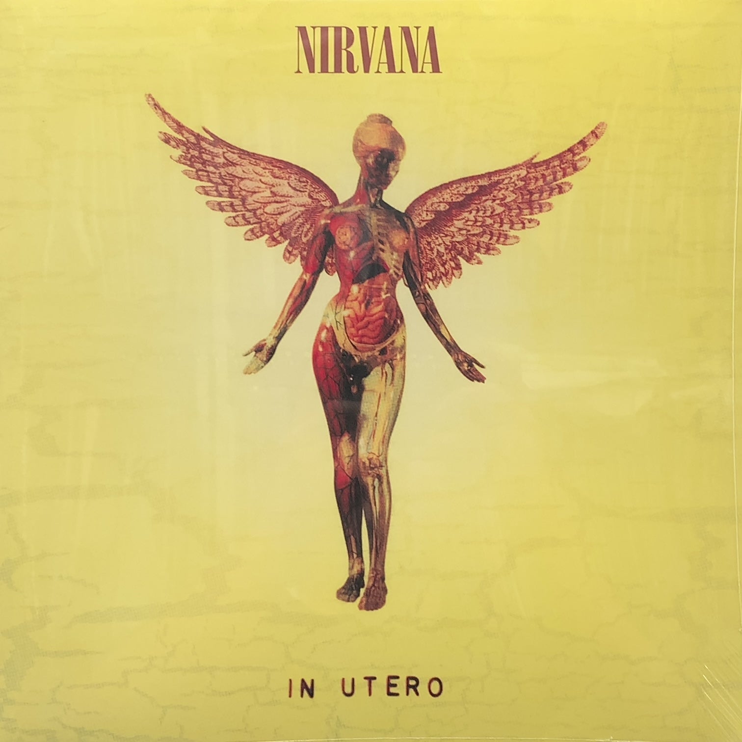 NIRVANA IN UTERO 20TH ANNIVERSARY 45 RPM MASTERED 2 LPS + 33