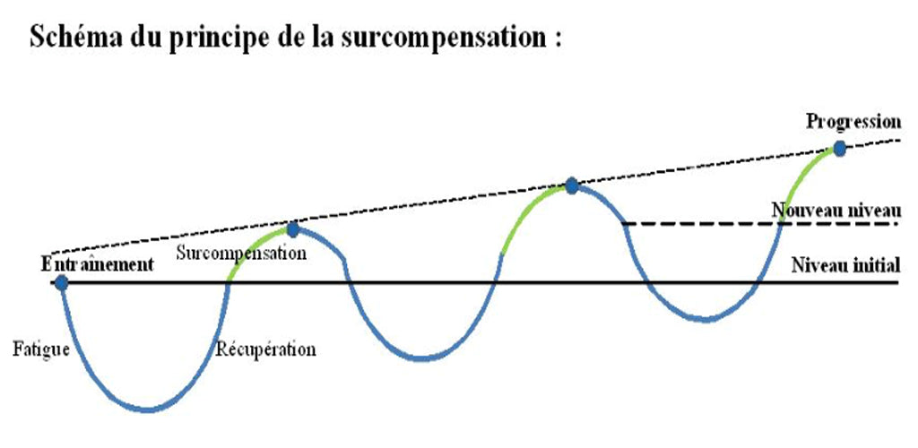 Fitness Time Graph