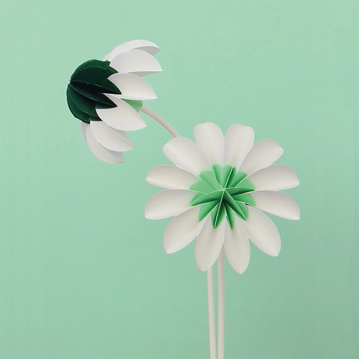 paper flowers - spring