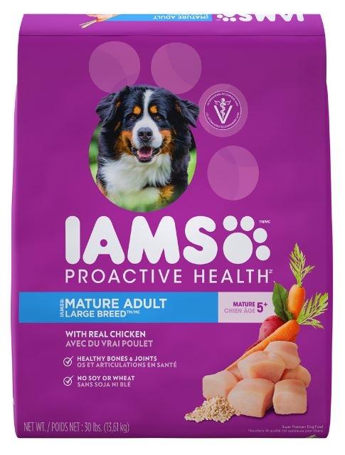 can dogs eat iams dry cat food