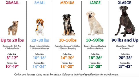 Dog Size Chart | Lovepawz