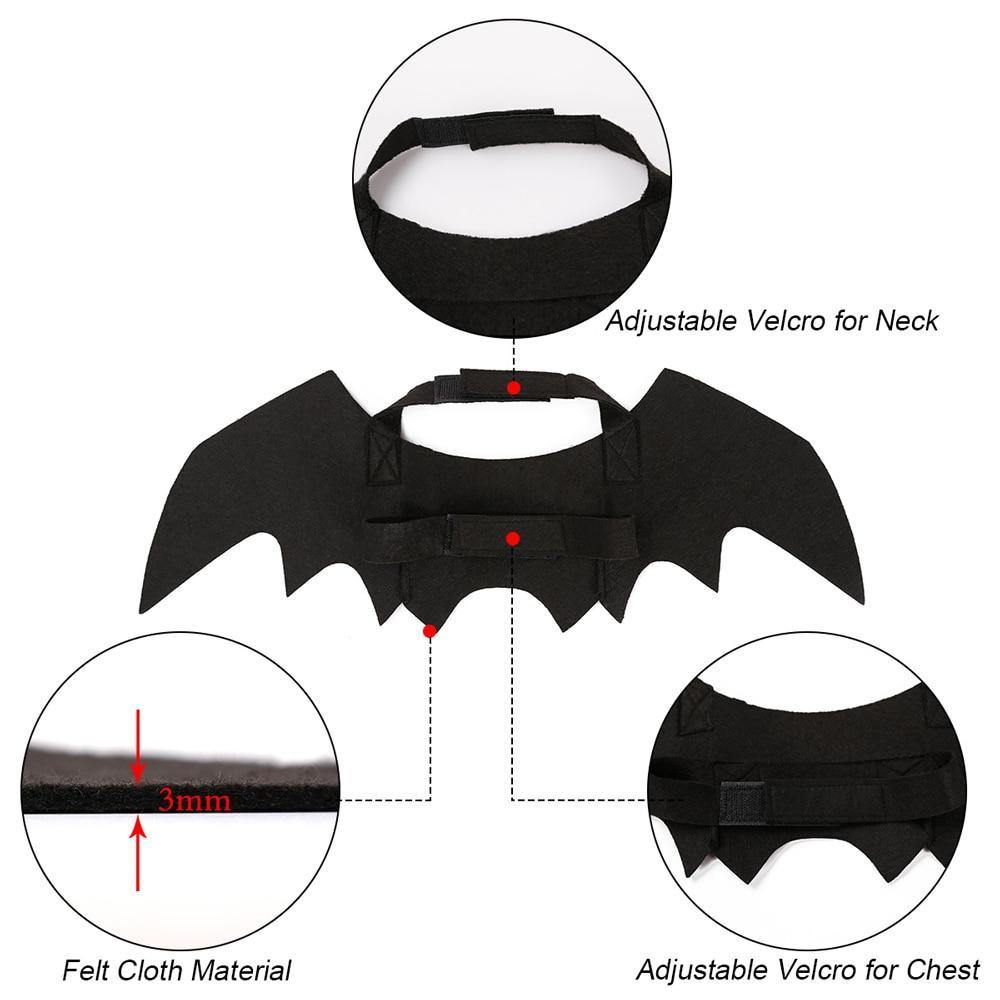 Scary Cat Bat Costume | Lovepawz Cat Costumes