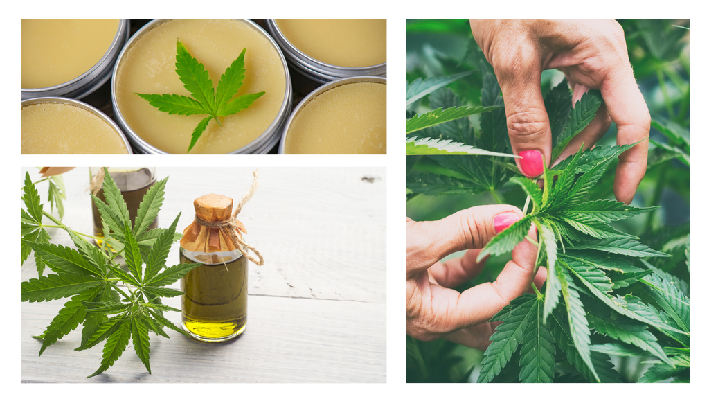 A variety of CBD products with different CBD benefits