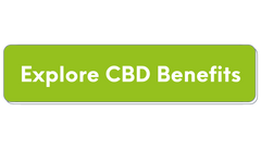 explore CBD benefits