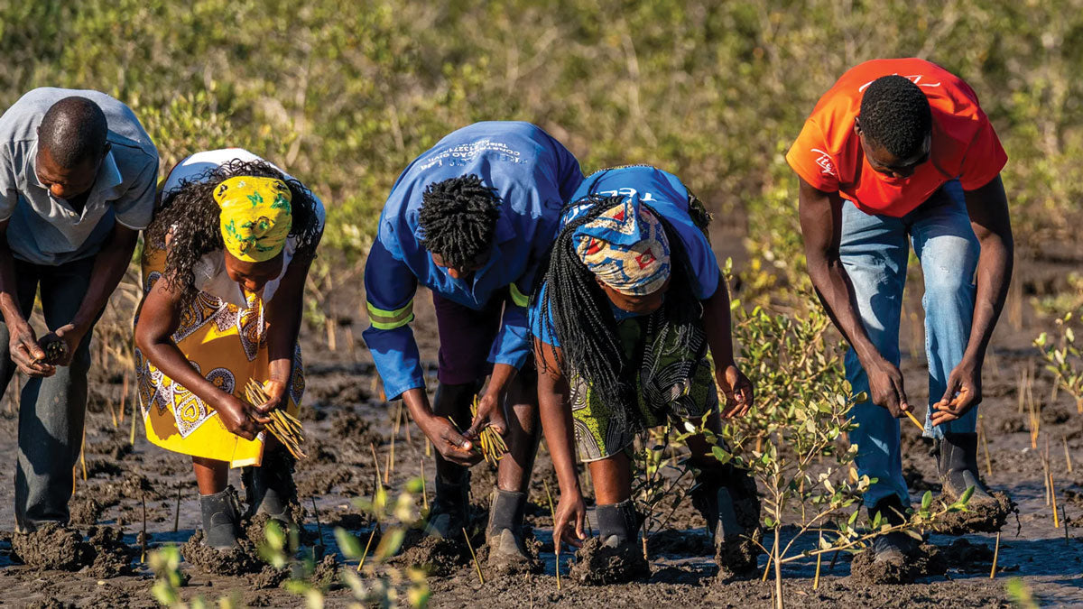 Eden Reforestation Projects Mozambique