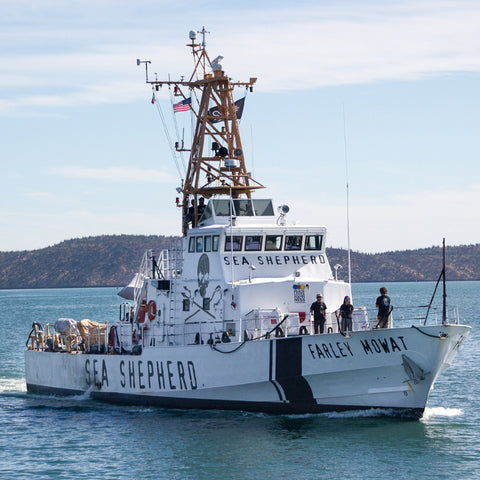 Sea Shepherd ship protecting the oceans from illegal fishing