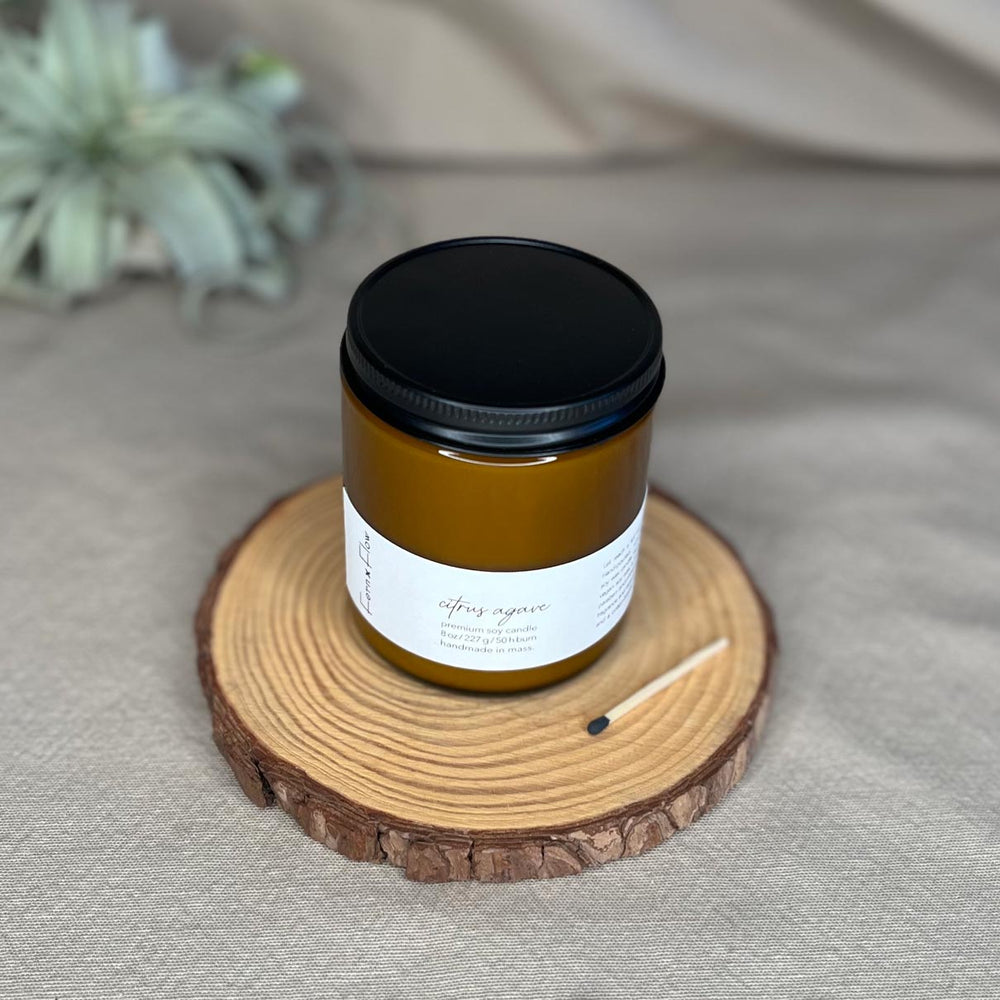 Cozy Nook Scented Soy Candle – Fern x Flow