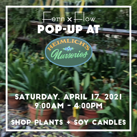 Fern x Flow soy candle pop-up shop at Heimlich Nurseries Woburn, MA