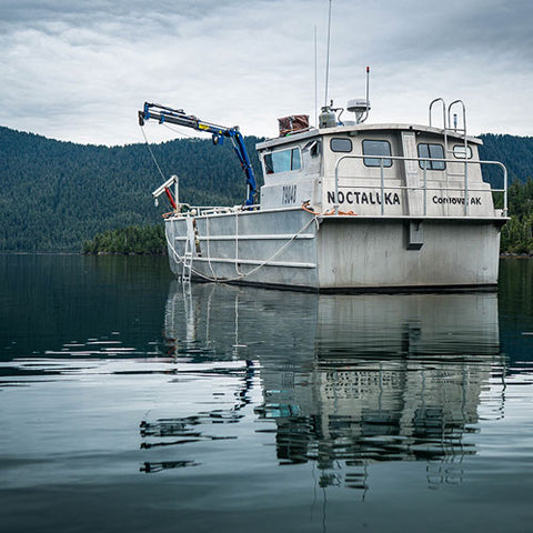 Native Conservancy site analysis in Prince William Sound