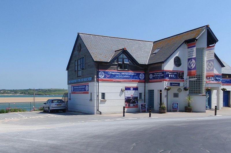 The national lobster centre Padstow