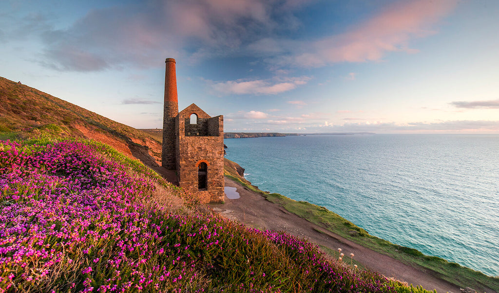 the towanroath mine shaft among the vibrant heather on the stunning cornish coastline, just one of our photographic prints we have for sale at sebastien coell photography