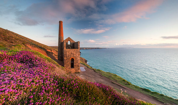 Towanroath mineshaft during spring with the stunning wild flowers and heather framed among the cornish sea and coast