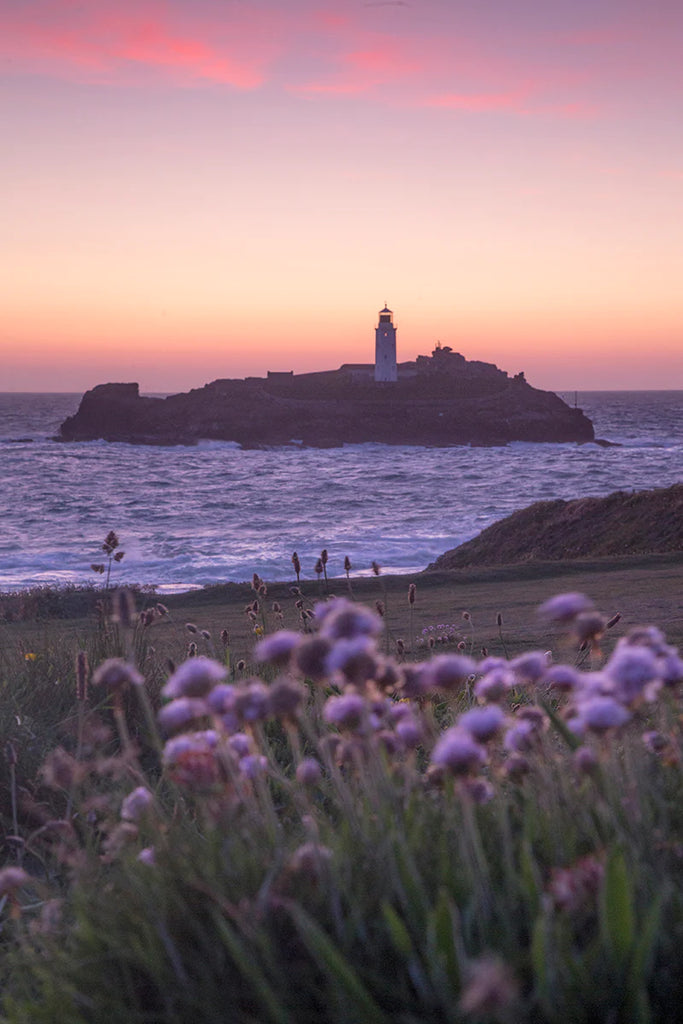 Godrevy Lighthouse among the wildflowers
