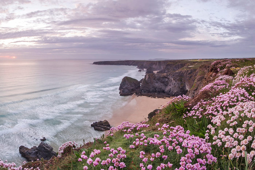 Bedruthan Steps – Great for Wildflowers in Spring.