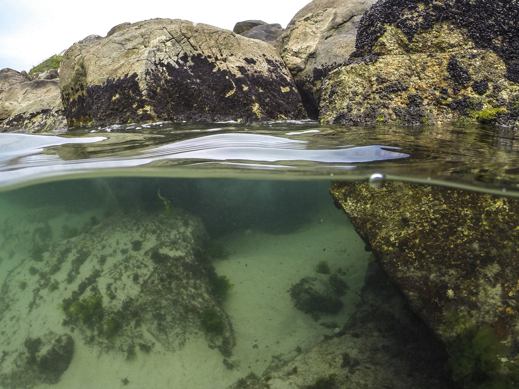 A Rock Pool on one of Cornwall Beaches