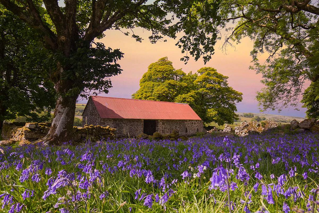 Six Great Dartmoor Photography Locations to explore with your Camera