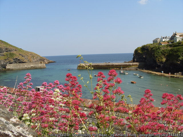 Port Isaac Harbour - Cornwall visitors guide